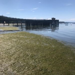 Meet your Posher, Bria